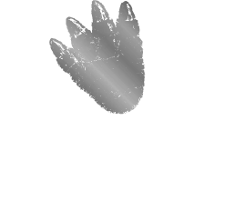 GODZILLA FLOOR