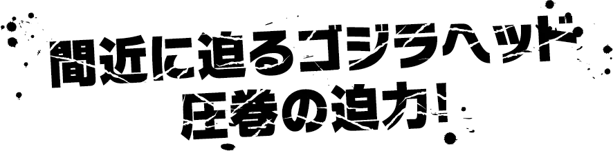 間近に迫るゴジラヘッド圧巻の迫力！